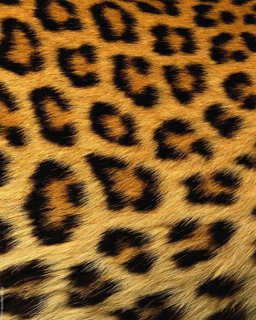 JaylahMFK profile banner