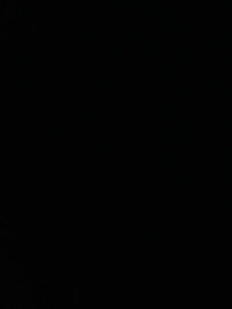 Ari profile banner