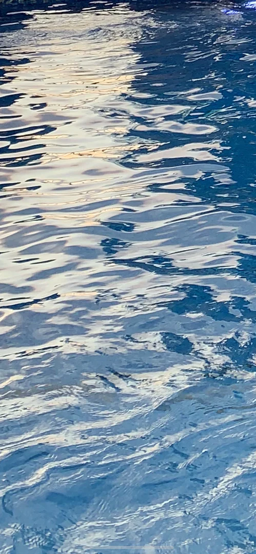 Blondie profile banner