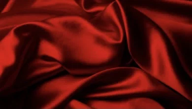 lina profile banner