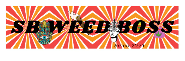 Smash Bandicoot profile banner