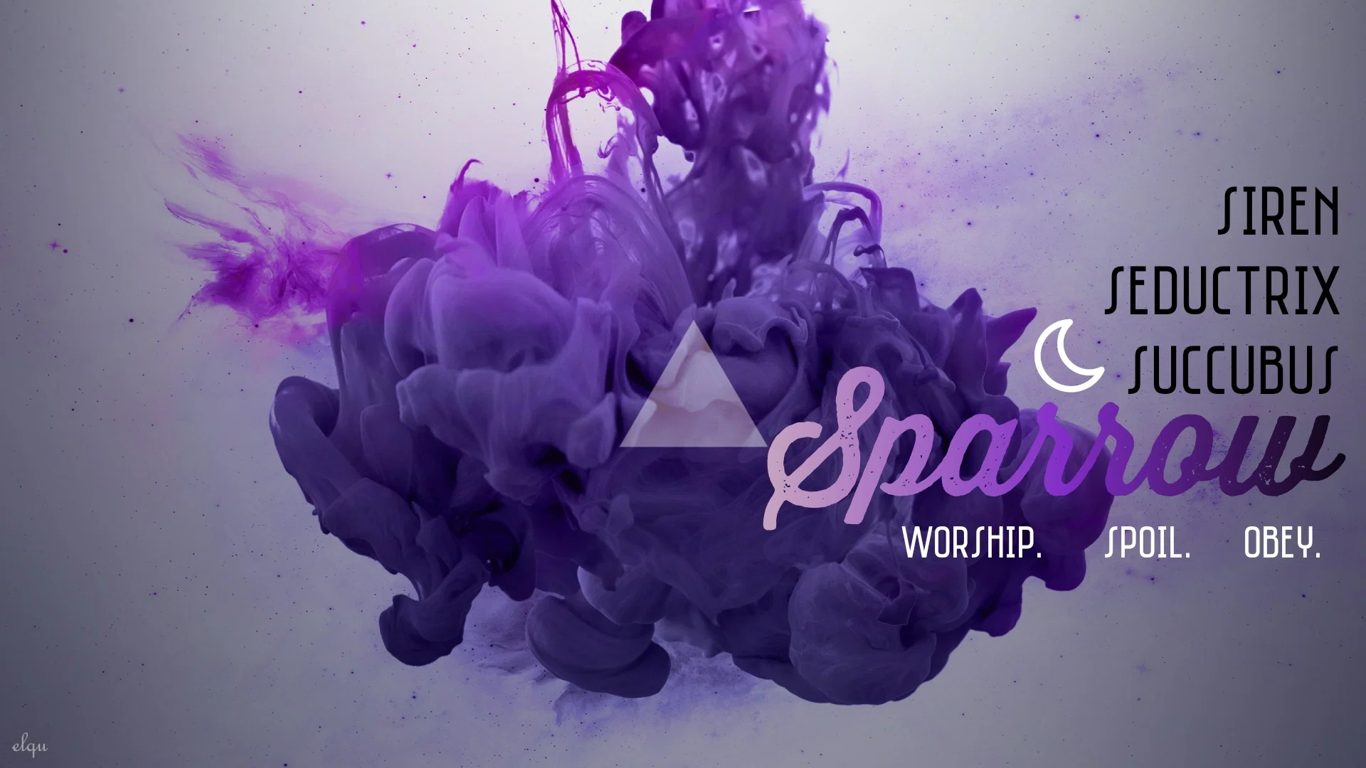 $ P A R R O W profile banner