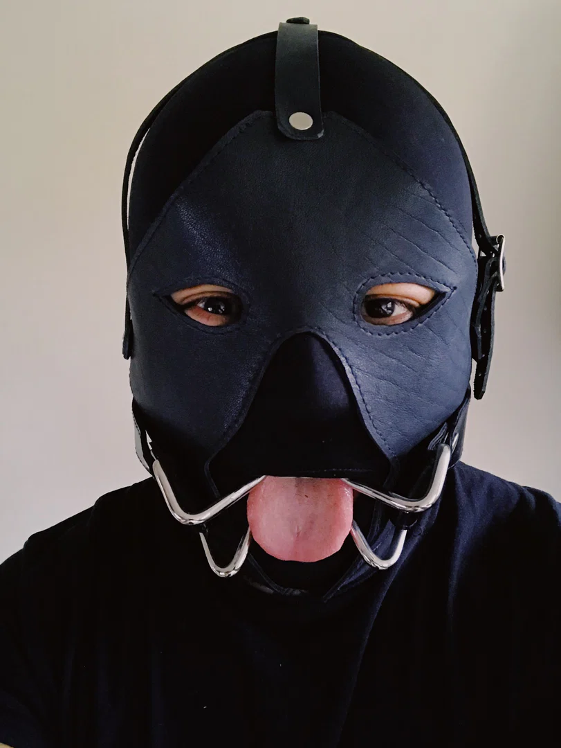 Brutalfag profile banner