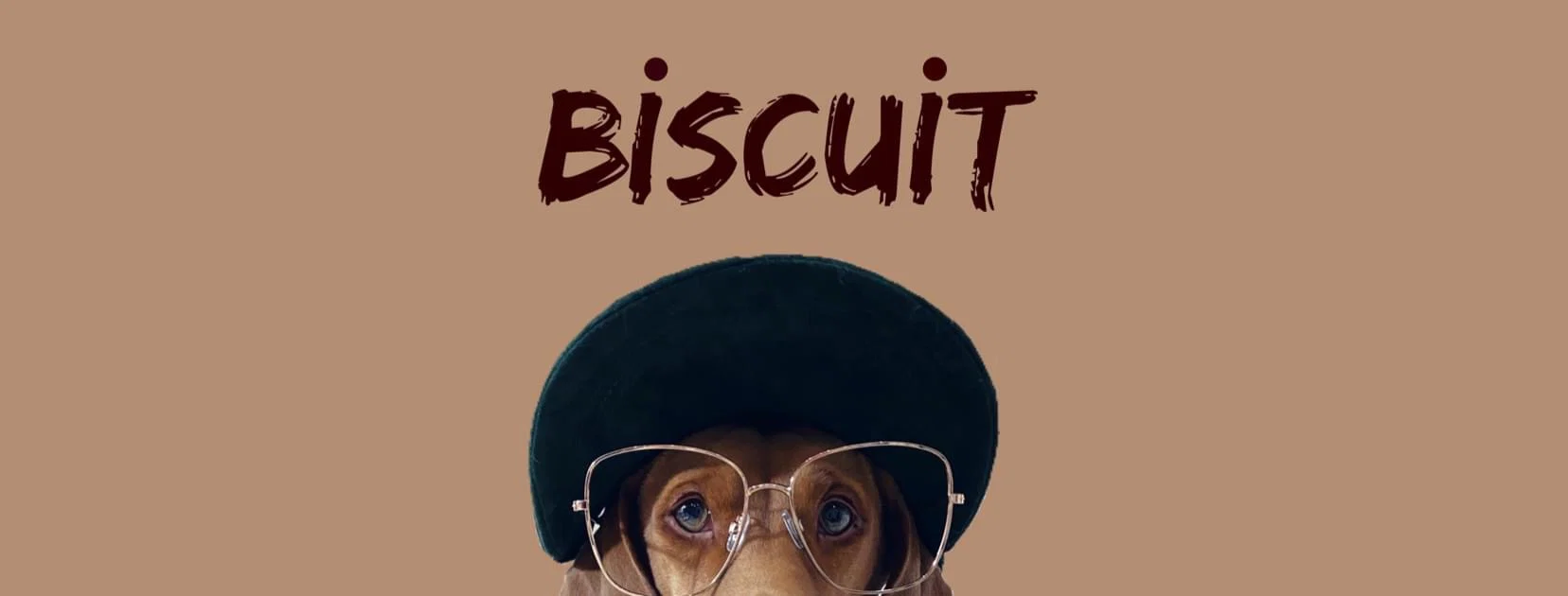 Biscuit profile banner