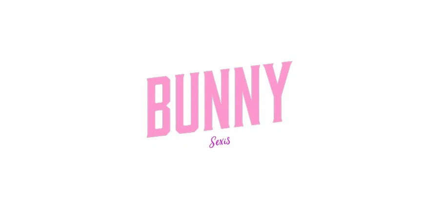 CHICAS BUNNY profile banner