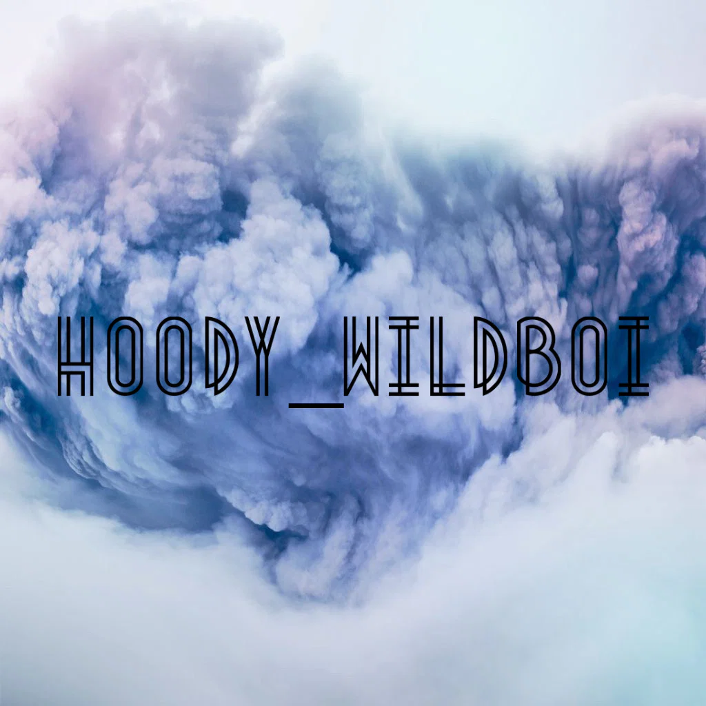 Wild Boi Hoody profile banner