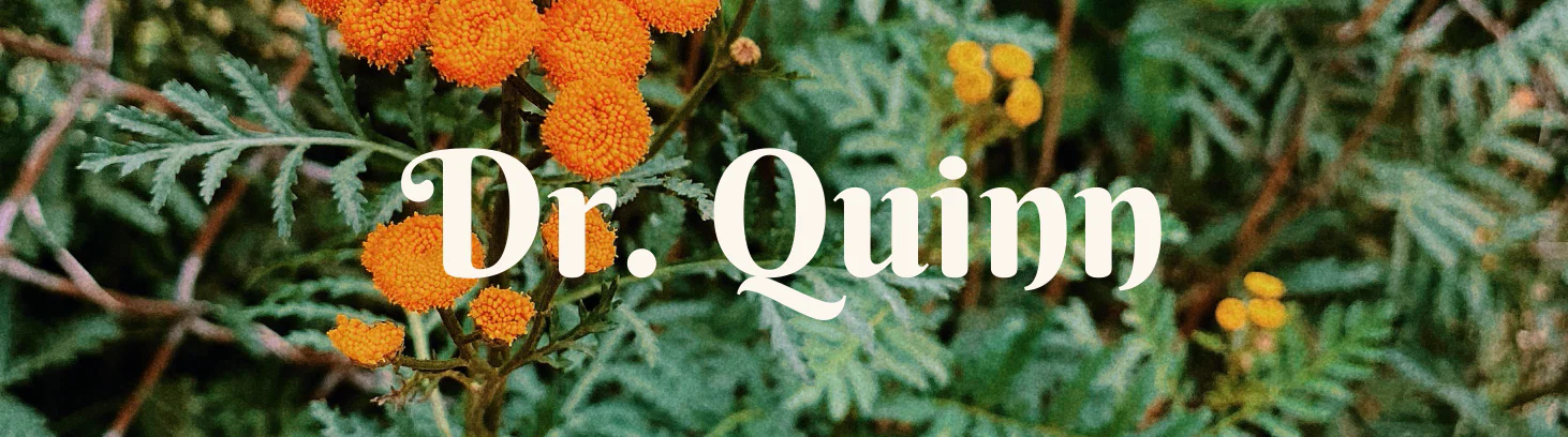Quinn profile banner