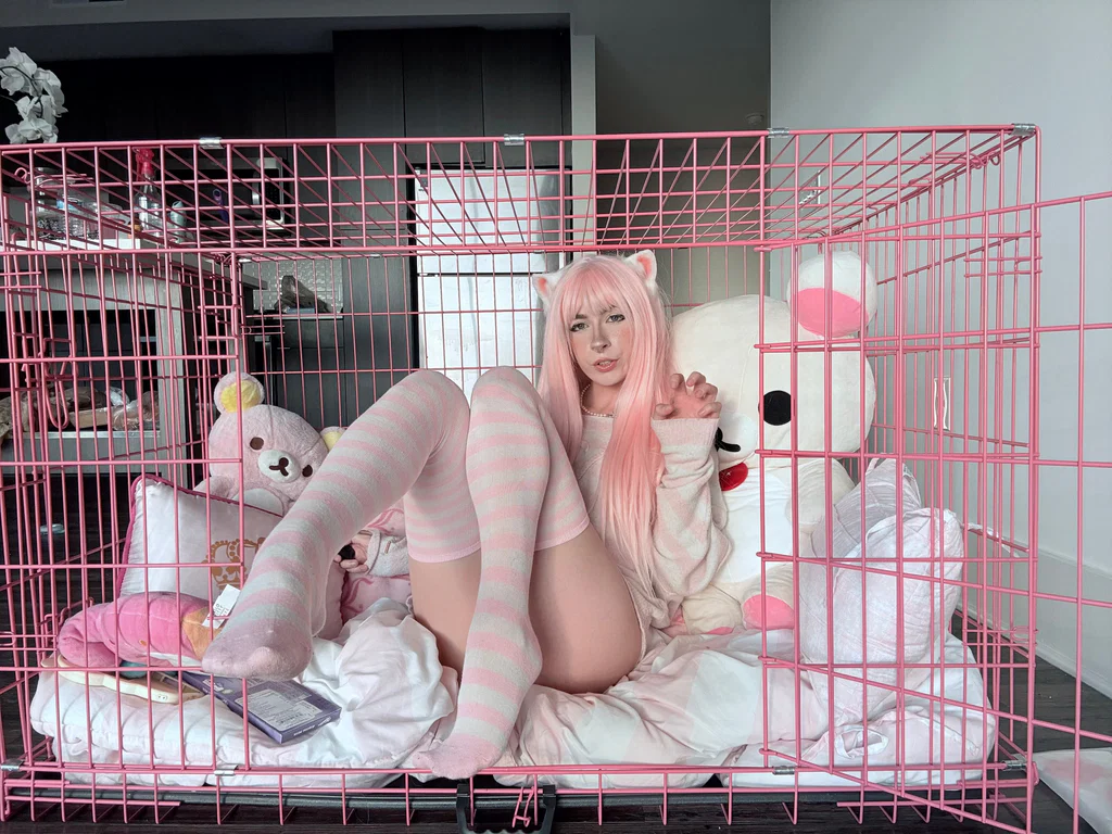 Irlpuppybrat