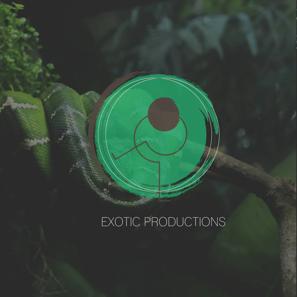 Exotic Productions's avatar