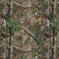Robby profile banner