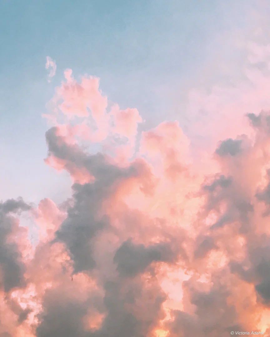 violet profile banner