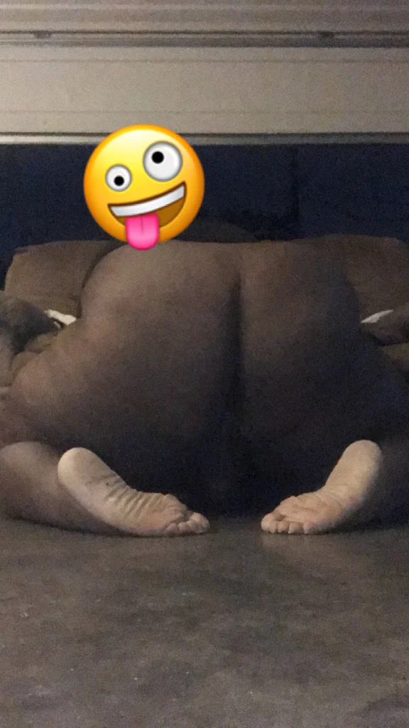 KinggOfAss's avatar