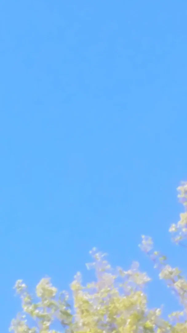 Cindy profile banner