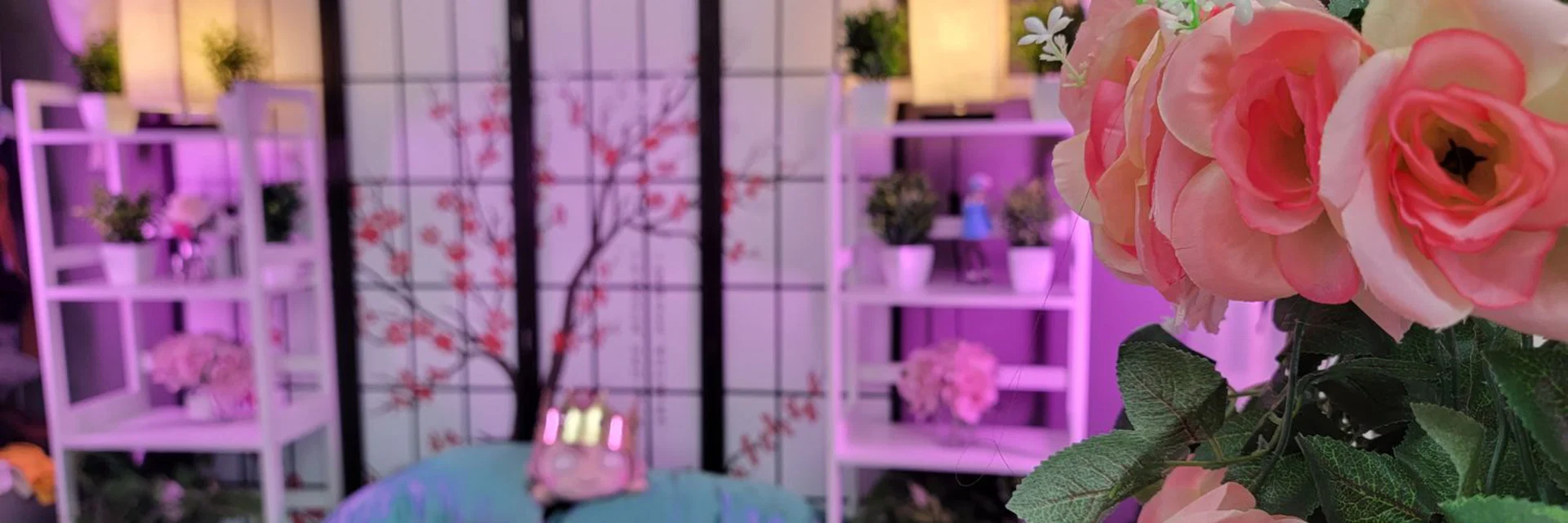 Nano_Nano ✨ #1TransGirl/Femboy Creator✨ profile banner