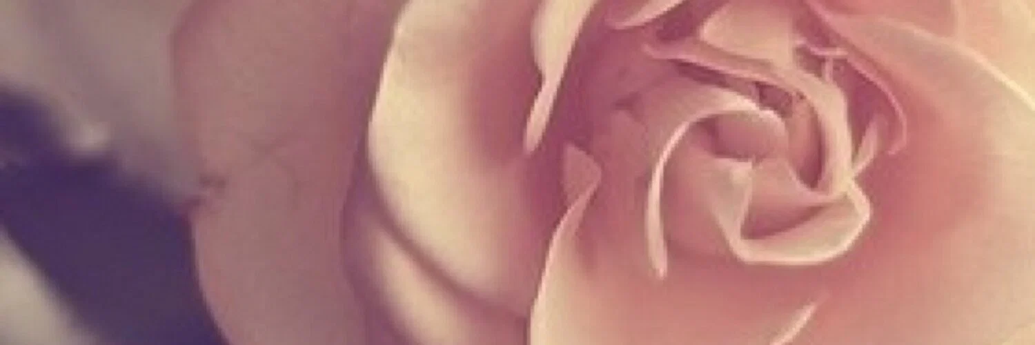 Kim ✿ profile banner