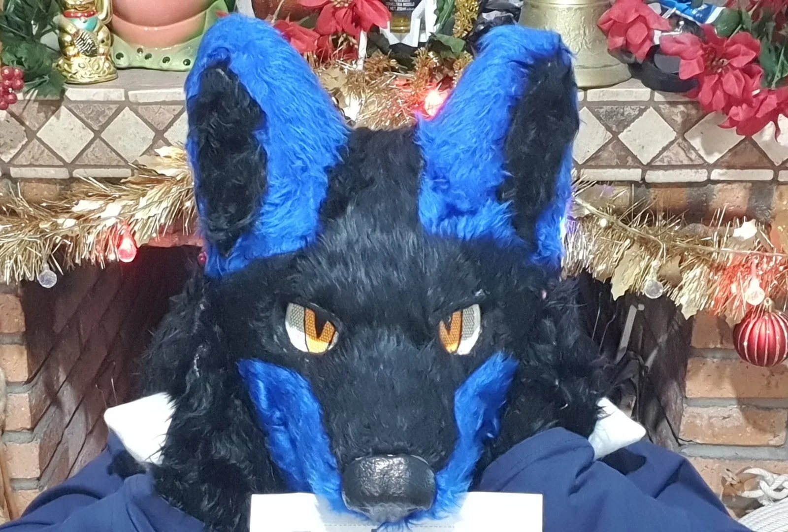 Bruno Blue Furry profile banner