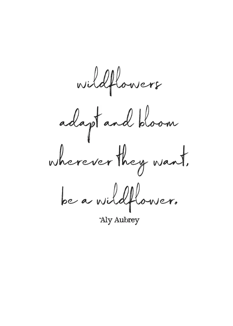 Wildflowers profile banner