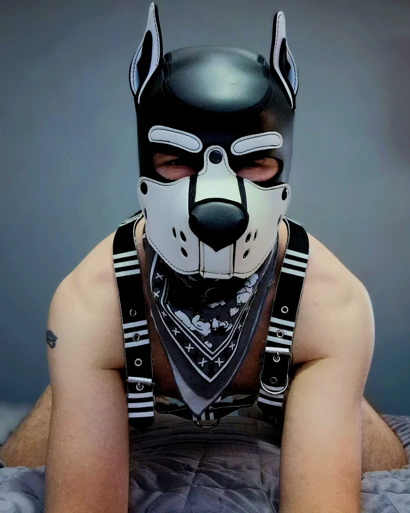Pup-Olliee