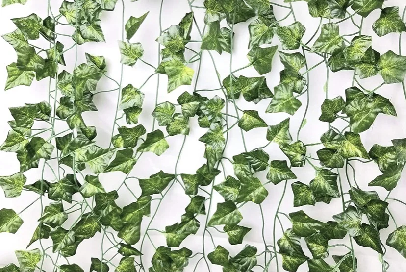 Care profile banner