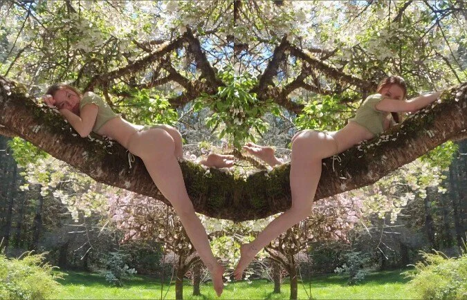 Shelly Ray profile banner