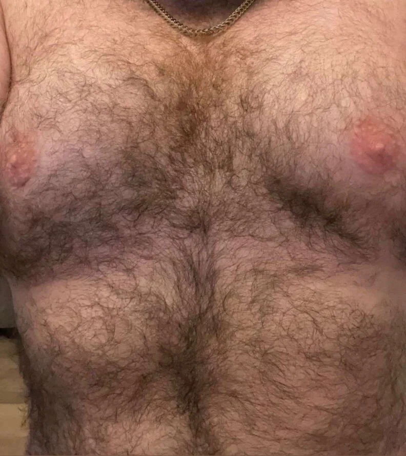DBear's avatar