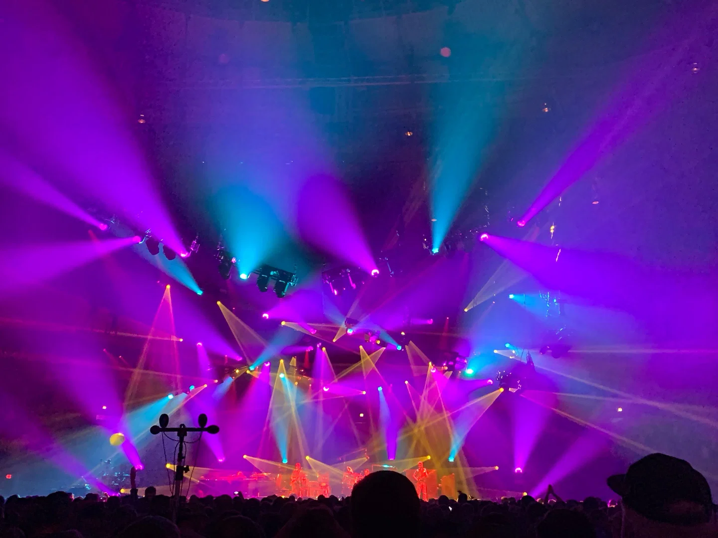 Electric Circus profile banner