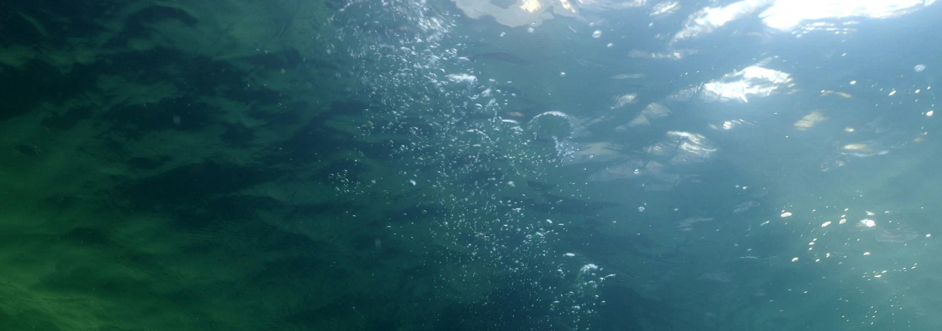 Underwater and breathhold training profile banner