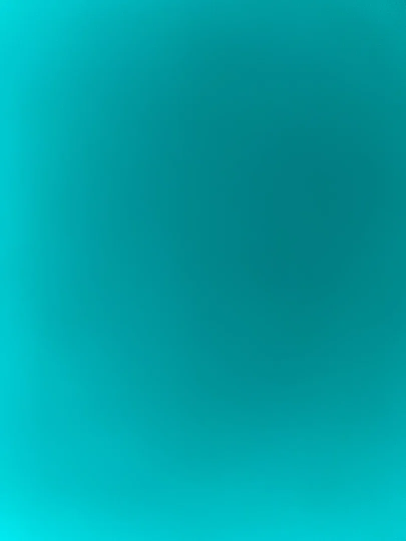 Sofia profile banner