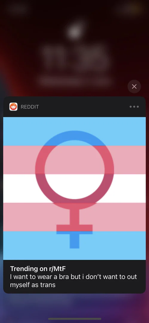 Misty profile banner