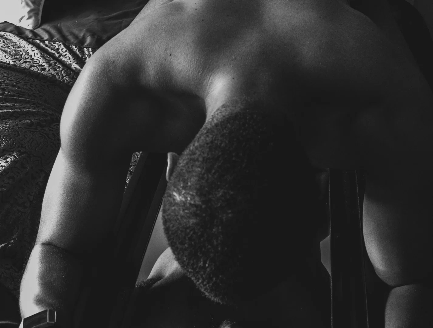 Philly Jay profile banner