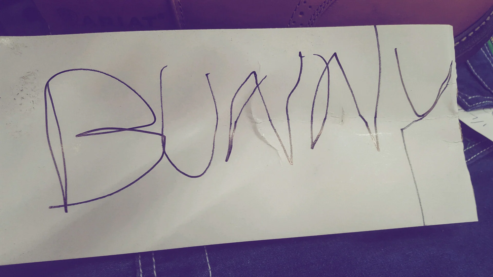 Bunny profile banner