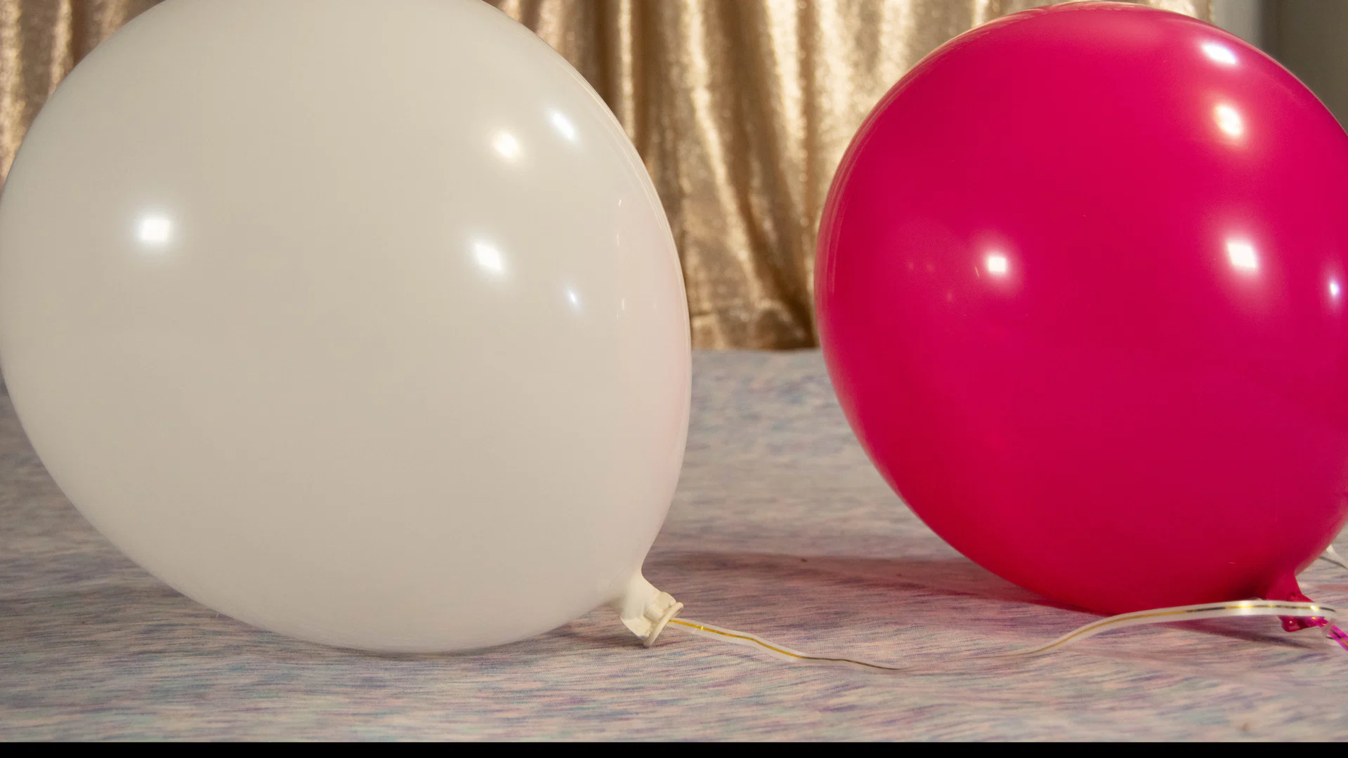 Bianca Bee Loons profile banner
