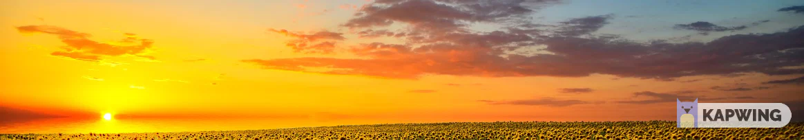 Liv Flowers profile banner