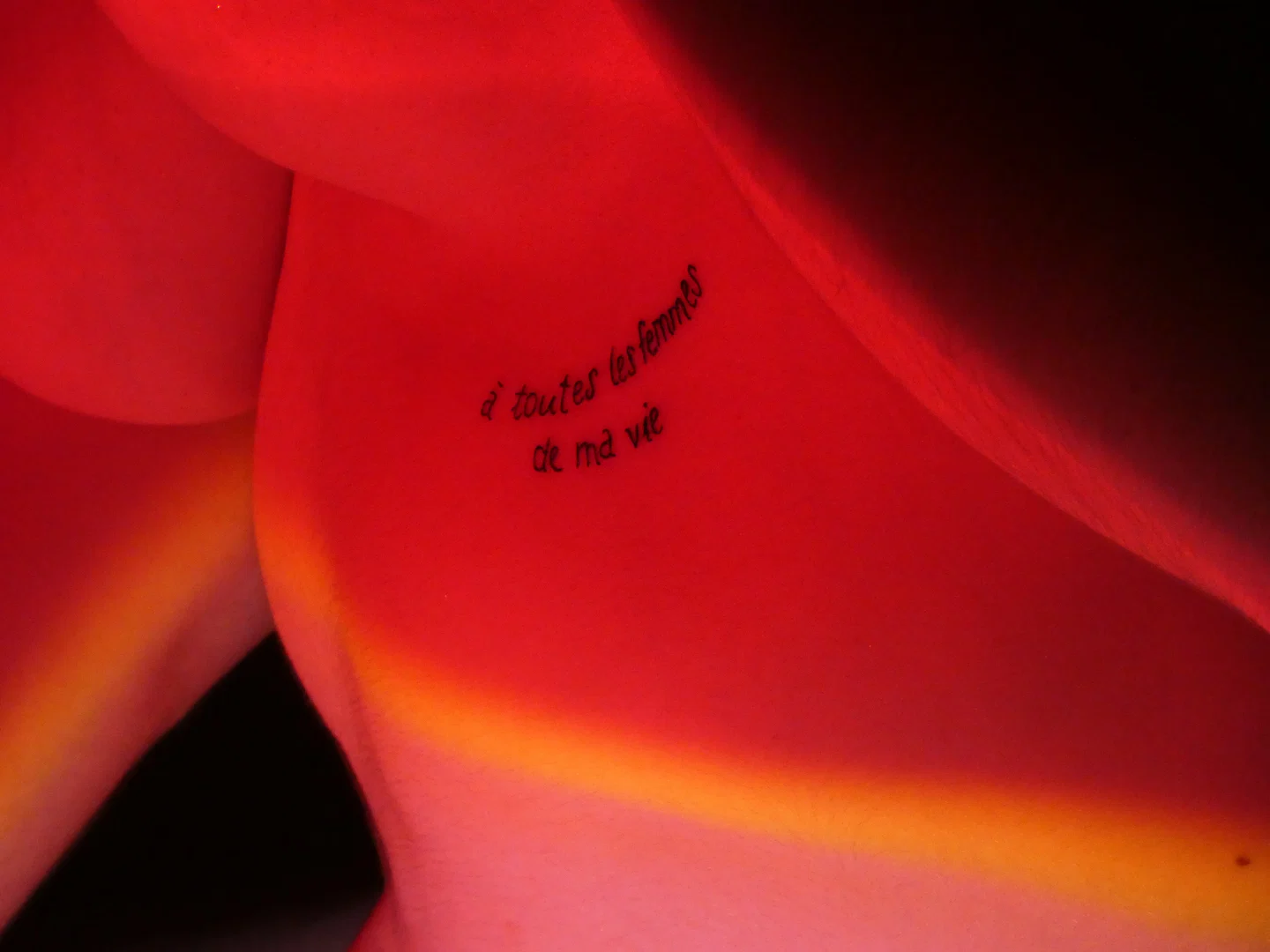 Mel0die profile banner