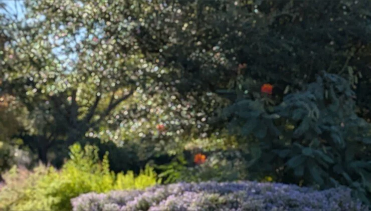 Mal Malloy profile banner