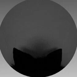Incogneko 🐾's avatar