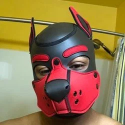 Pup_Astro's avatar