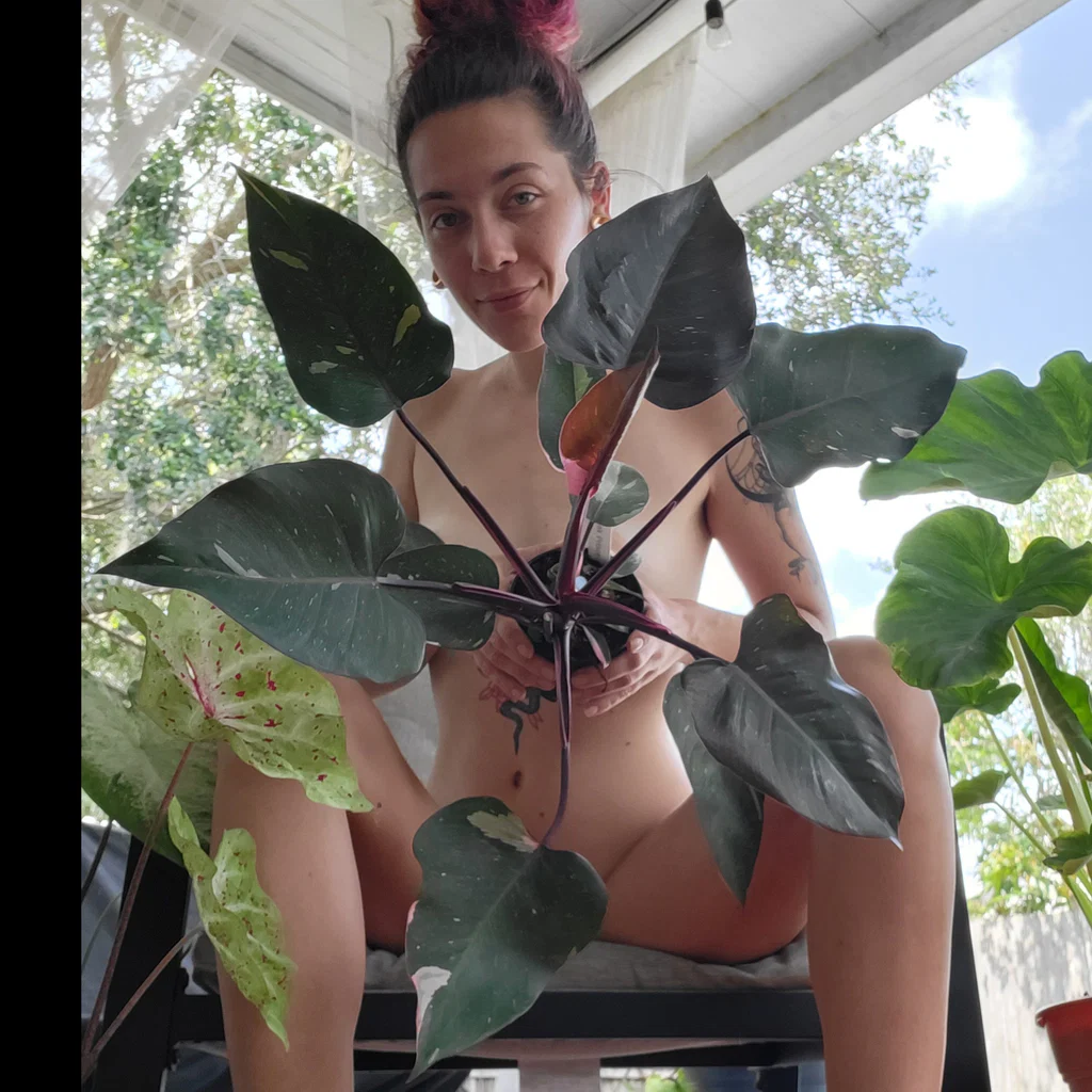 Adele 🍑✨️'s avatar