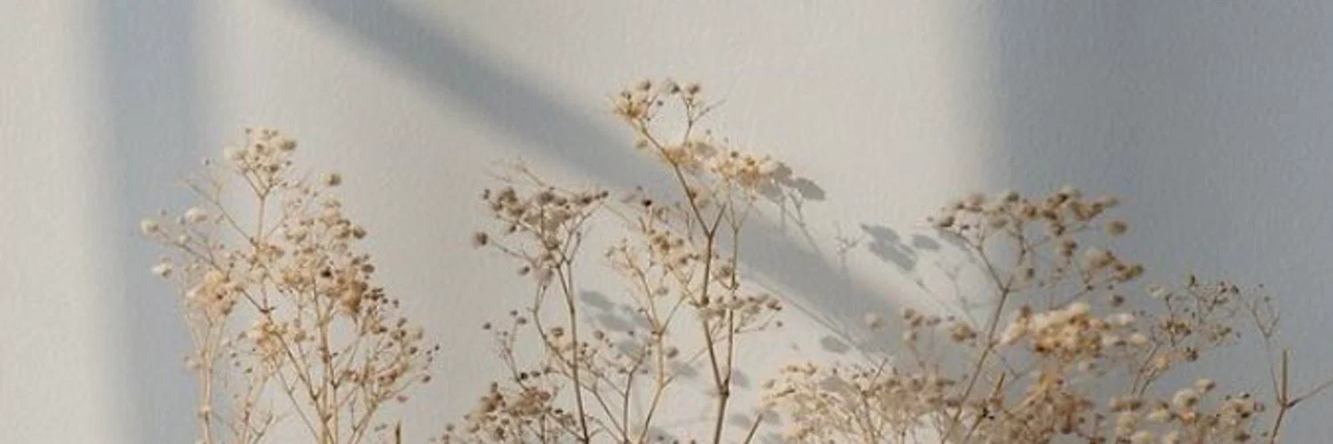 u148357850 profile banner