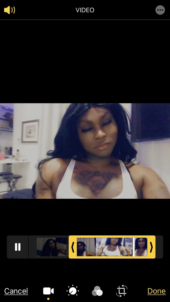 TsCocoAlexis's avatar