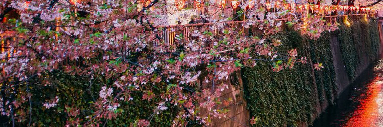 TsCocoAlexis profile banner