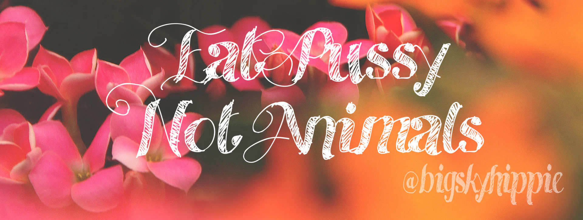 ๐ ๐ข๐ด๐ ๐ ๐๐ช๐พ๐ฐ๐ฑ๐ฝ๐ ๐๐ฒ๐น๐น๐ฒ๐ฎ โฎ๏ธ profile banner