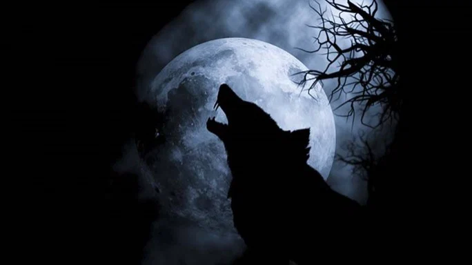 Dark Moon profile banner