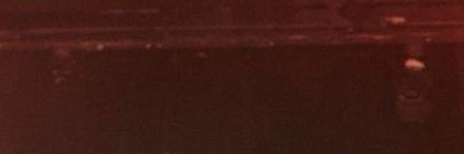 samara profile banner