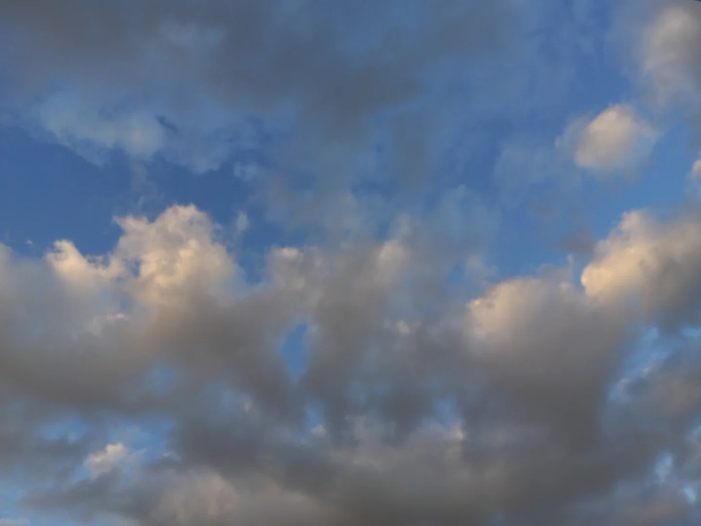 Loring profile banner