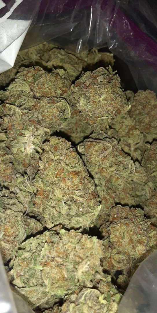 Gracie Bluntz profile banner