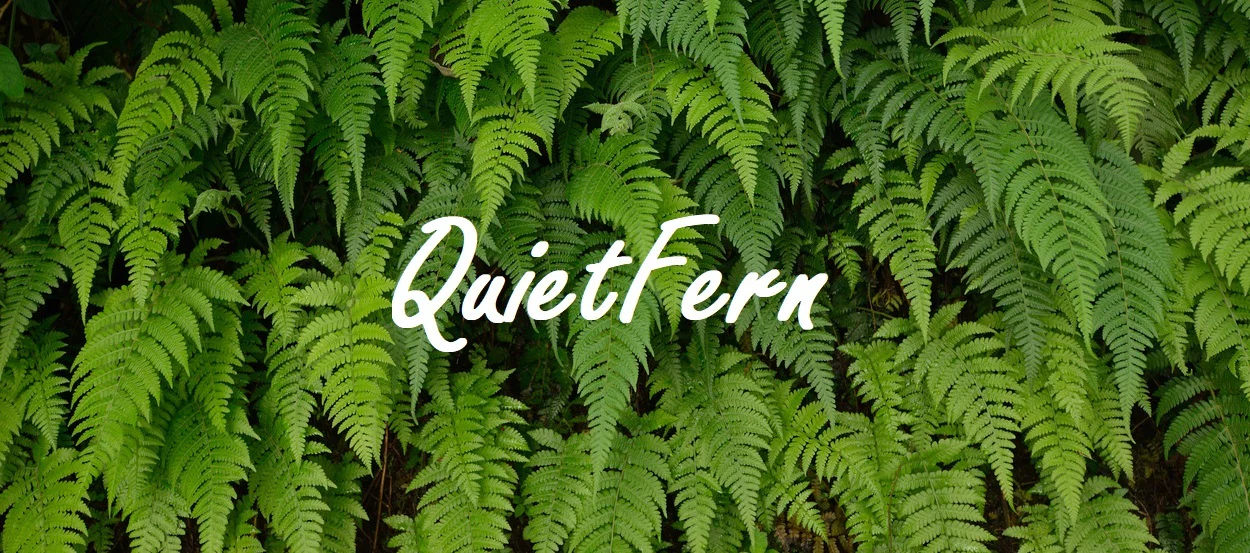 🌿Fern🌿 profile banner