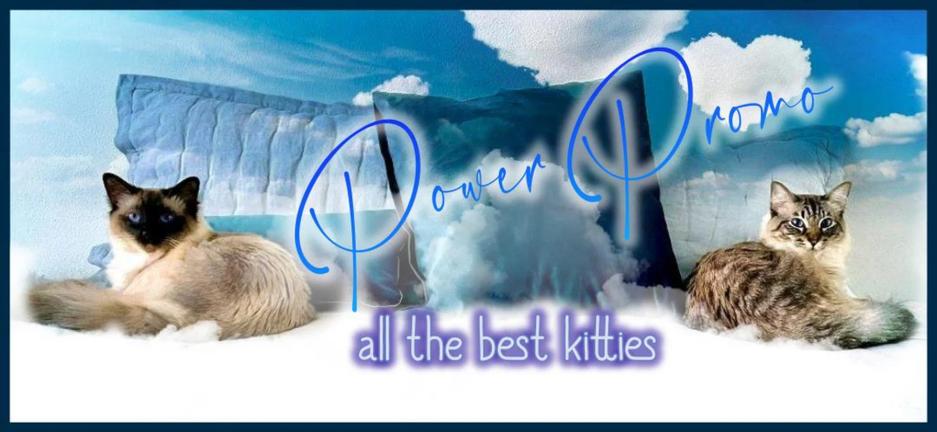 POWERPROMO profile banner