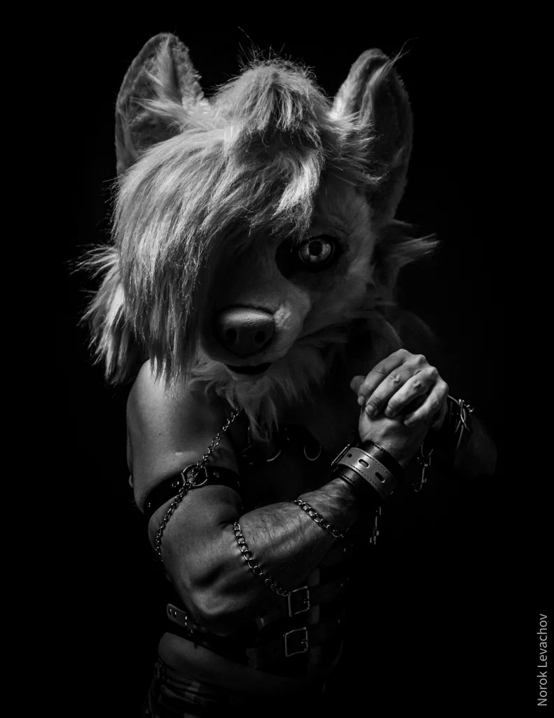 The Wolf in Yellow's avatar