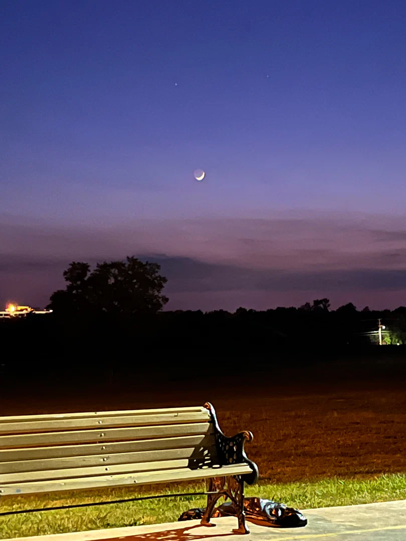 Fun profile banner